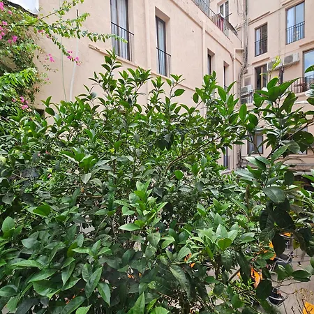 Hotel Palermo