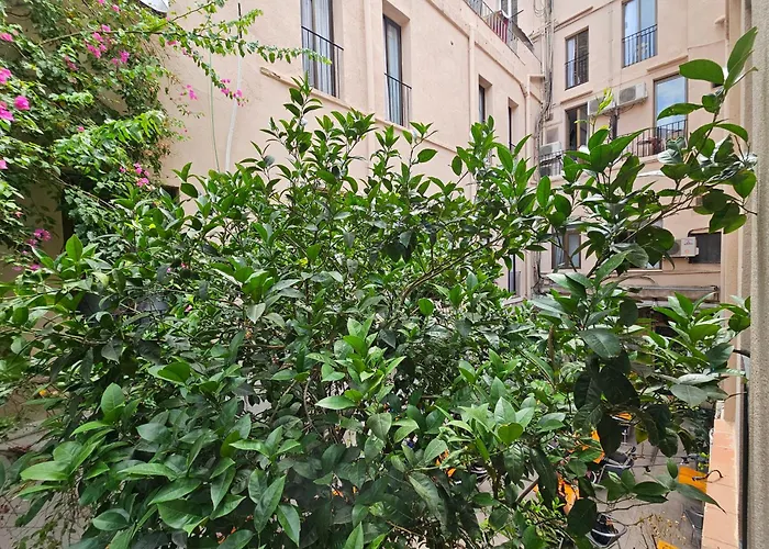 Ξενοδοχείο Palermo